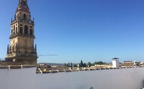 Entre 2 Mezquitas Apartamento 8