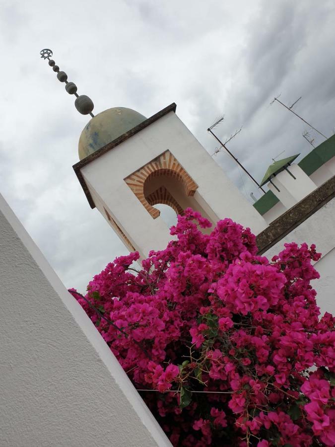 Entre 2 Mezquitas Apartamento 8 Cordova Esterno foto